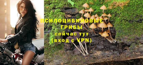 прущая мука Протвино