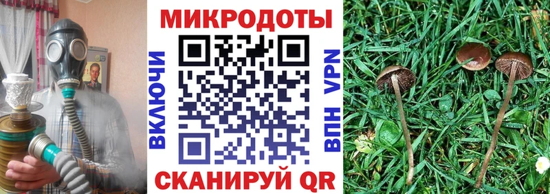 купить закладку  Пойковский  Галлюциногенные грибы GOLDEN TEACHER 