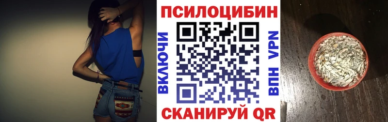 Псилоцибиновые грибы Psilocybe Пойковский