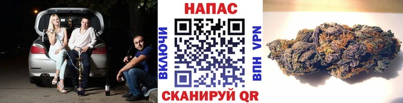 где можно купить наркотик  Пойковский  Бошки марихуана сатива 